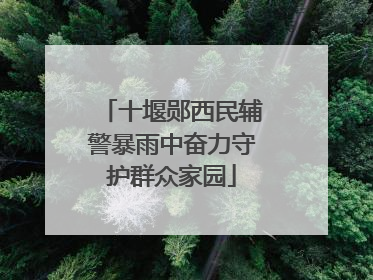 十堰郧西民辅警暴雨中奋力守护群众家园